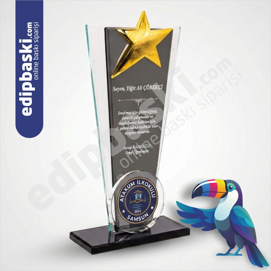 Yıldızlı Cam Plaket